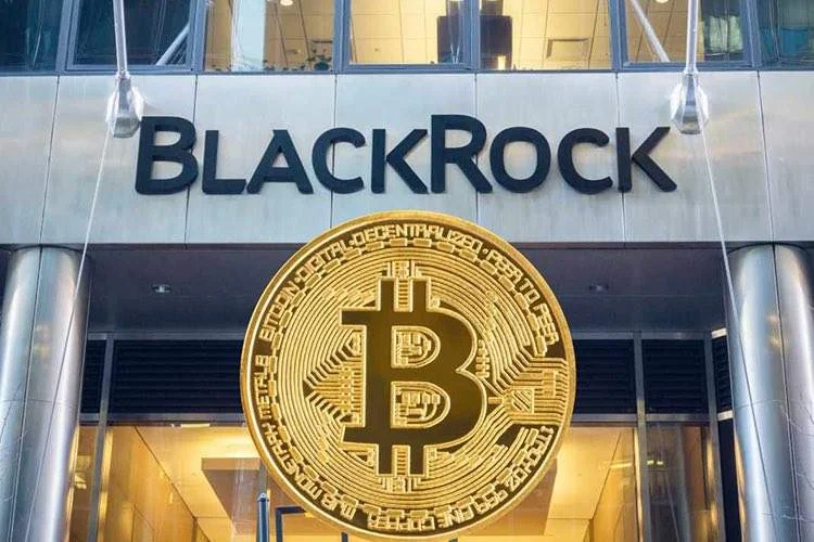 صندوق قابل معامله (ETF) بیت کوین چیست؟ علت اهمیت ETF بیت کوین چیست؟