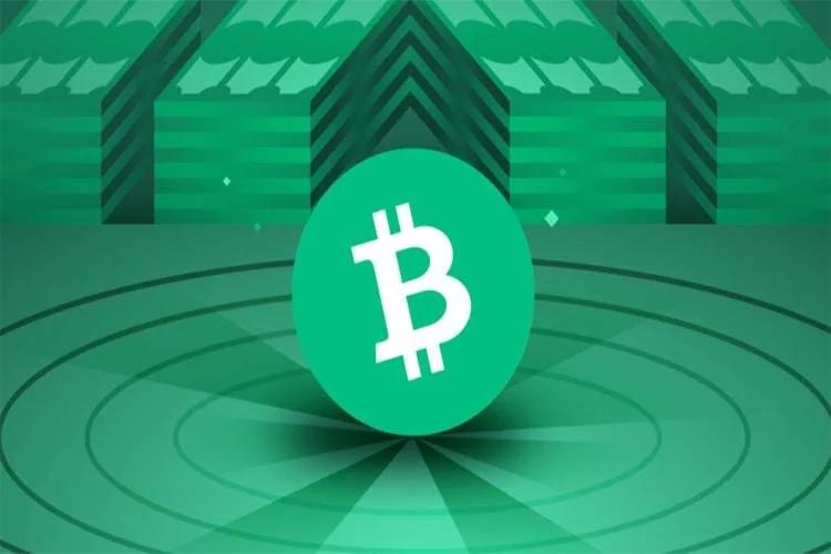 بیتکوین کش (Bitcoin Cash) چیست؟ چگونه آن را استخراج میکنید؟ تحلیل قیمت بیتکوین کش (BCH) در سالهای گذشته