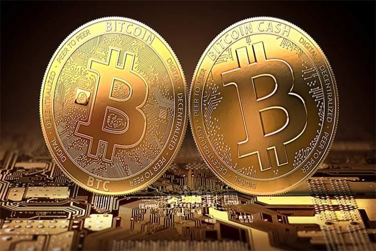 بیتکوین کش (Bitcoin Cash) چیست؟ چگونه آن را استخراج میکنید؟ انواع کیف پولهای نرمافزاری